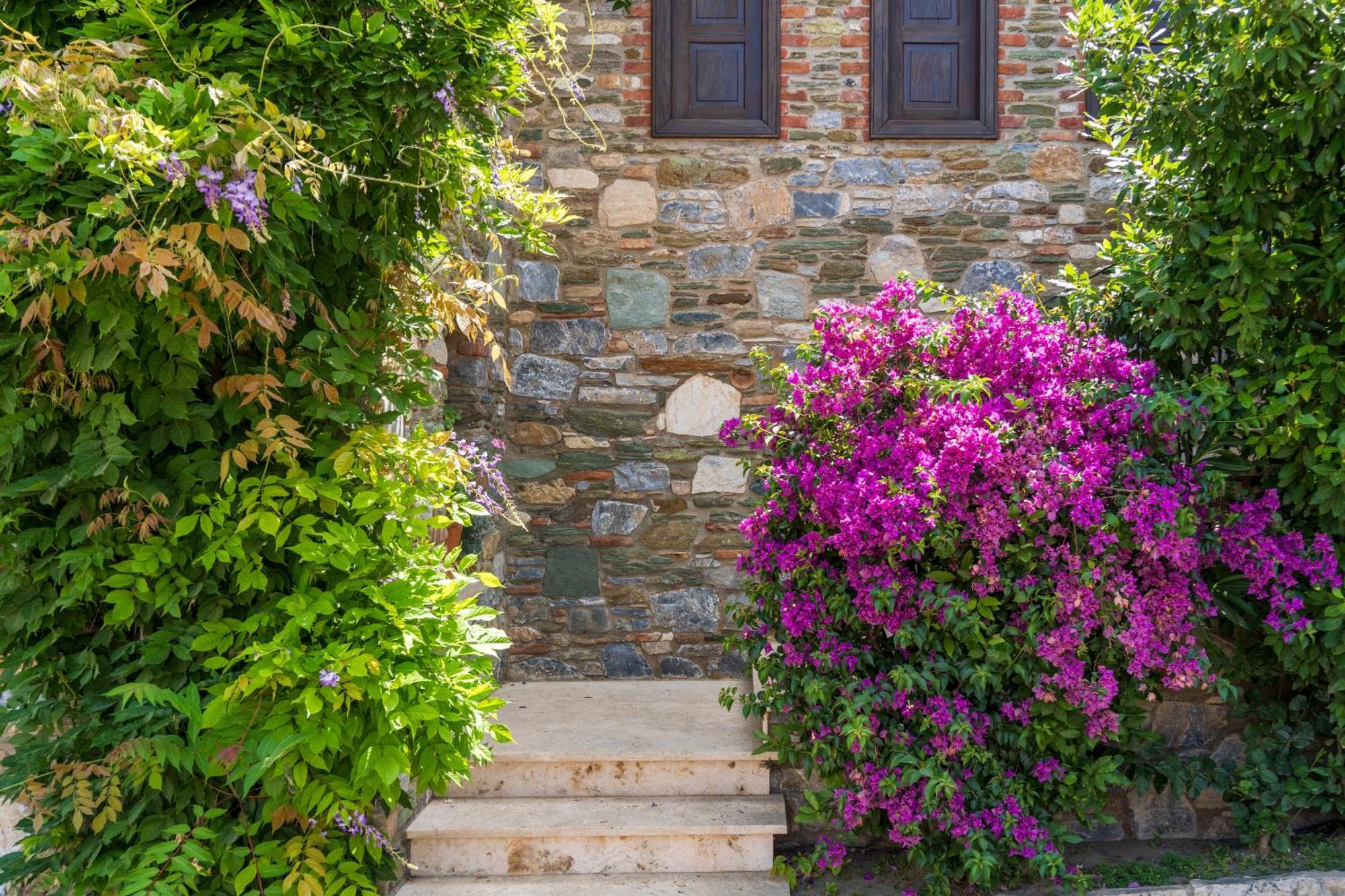 Ionia House Villa Selçuk Kültér fotó