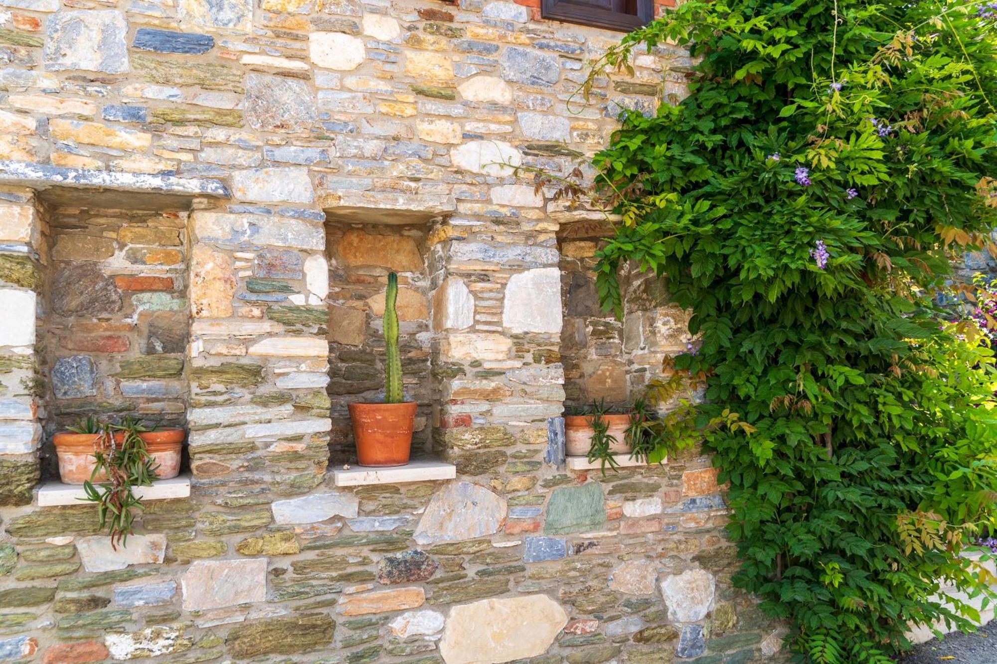 Ionia House Villa Selçuk Kültér fotó