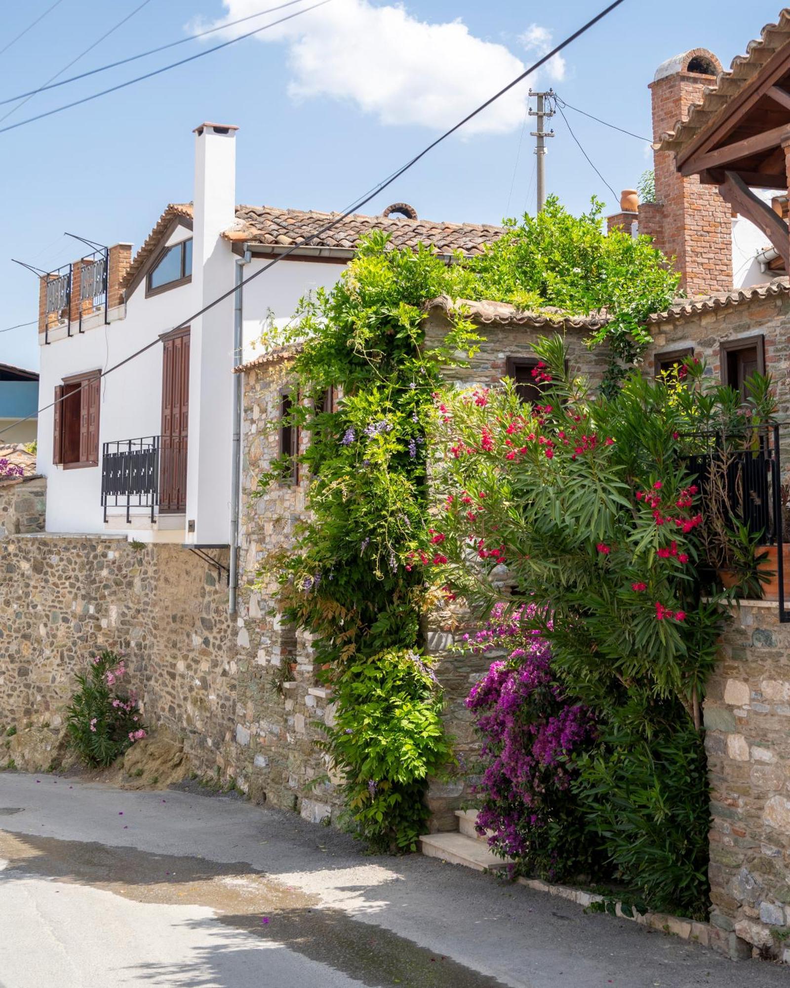 Ionia House Villa Selçuk Kültér fotó
